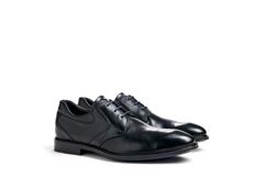 Monty 1599 Kr